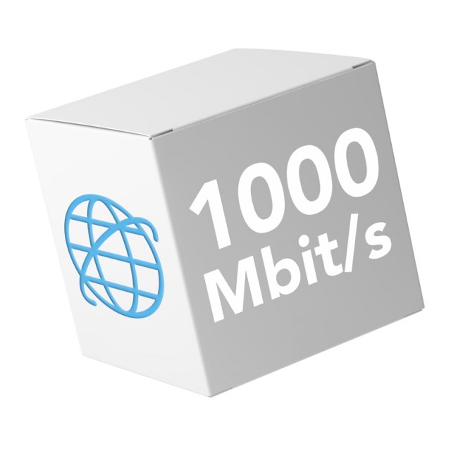 Internet MAXI 1000 Mbit/s Fibra